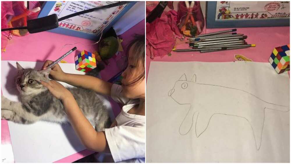 Funny photos of kid who used live cat to make sketch go viral, many 'praised' her act