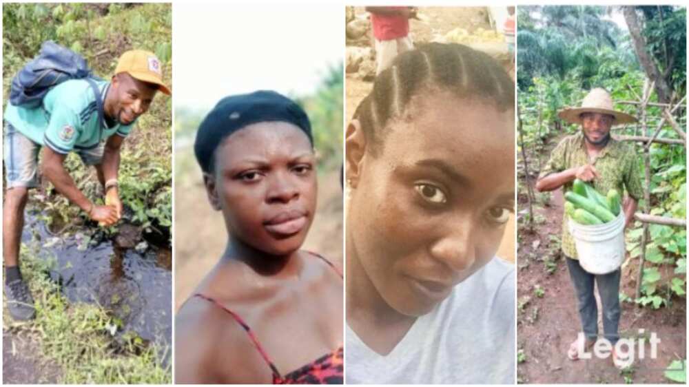 5 Nigerians making it big in the agriculture tell their stories