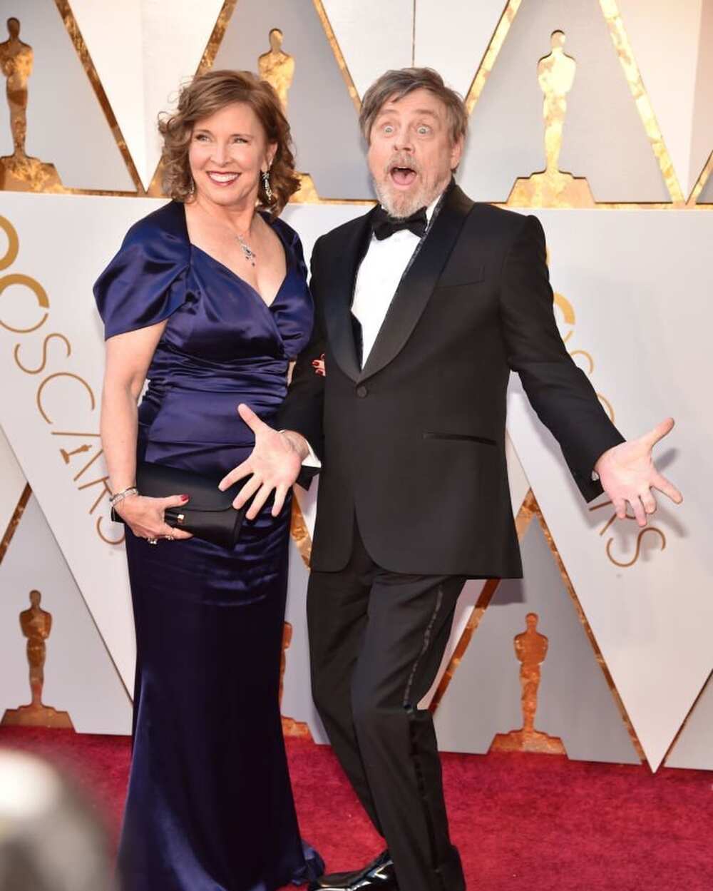 Mark Hamill and Marilou Hamill Love Story - How Mark Hamill Met Wife  Marilou York