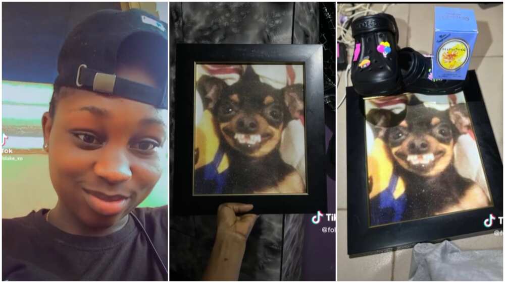 Lady Frames Her Friend's Favourite WhatsApp Sticker, Turns It Into Birthday Gift in Funny Video Lady Frames Her Friend's Favourite WhatsApp Sticker, Turns It Into Birthday Gift in Funny Video