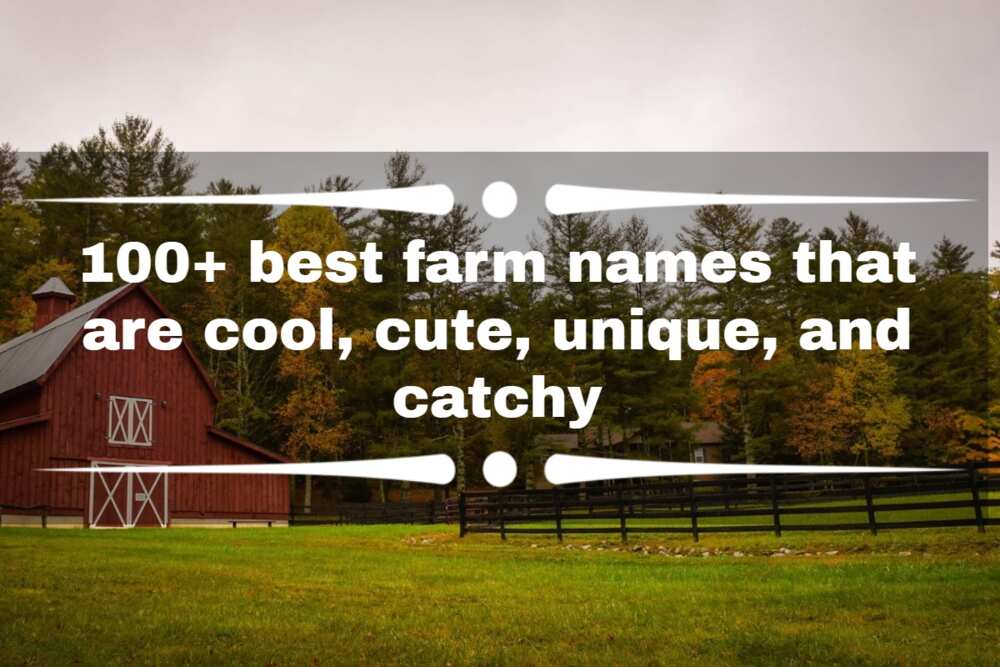 farm names