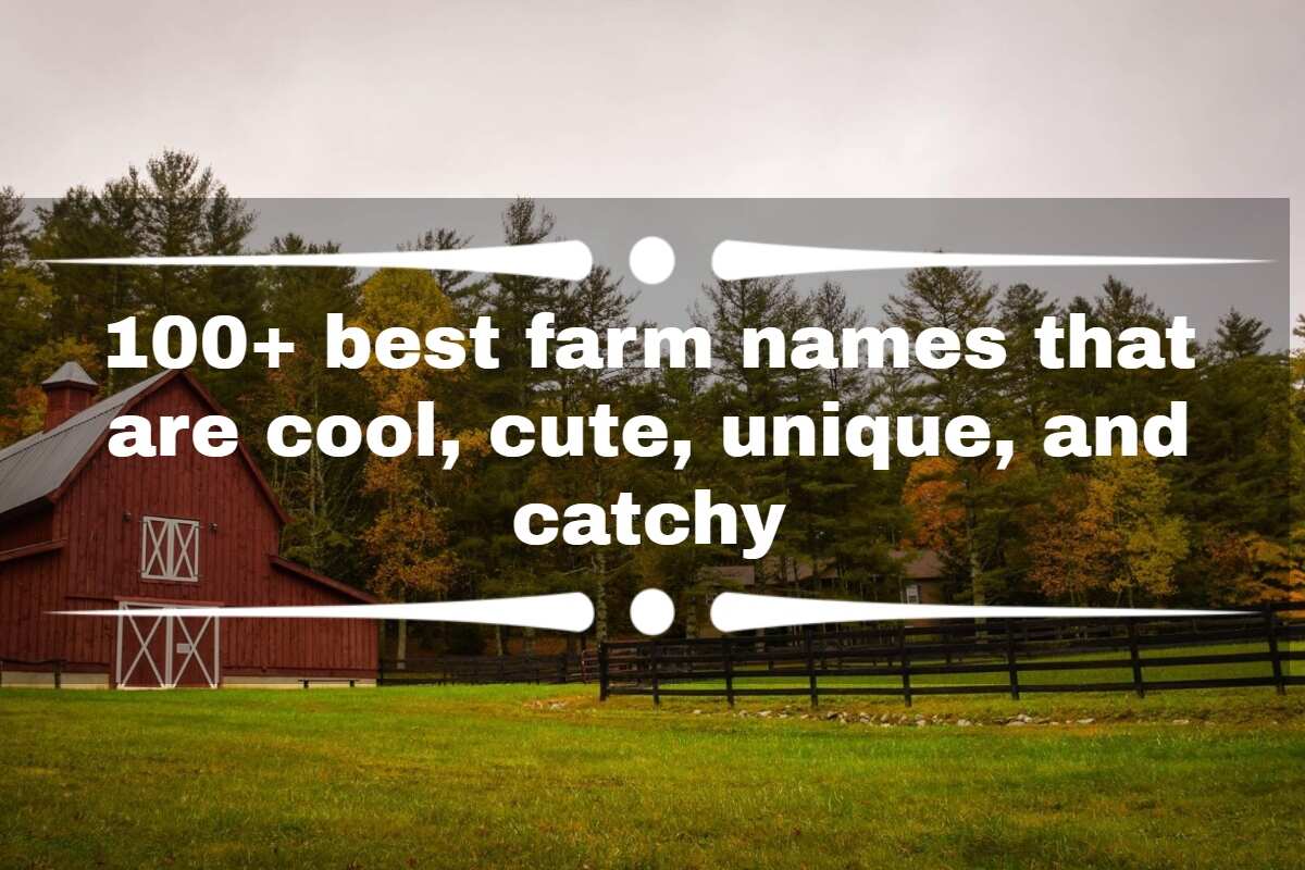 100 Best Farm Names That Are Cool Cute Unique And Catchy Legit ng