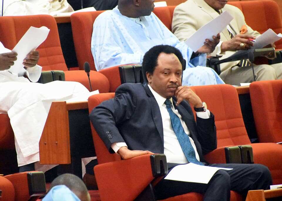 Sanata Shehu Sani