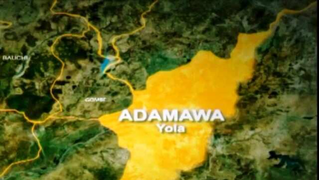 Adamawa Map