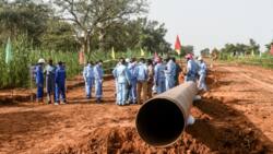 Niger finance minister rebuffs pressure to drop oil drive