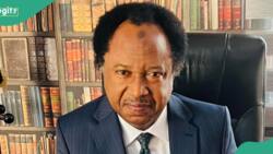 Shehu Sani speaks on which is stronger between religion and ethnicity