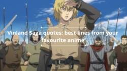 50+ Vinland Saga quotes: best lines from your favourite anime