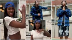 “Poco Lee don give me assignment”: Tiwa Savage says as she joins his dance challenge, fans react to video