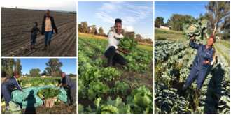 Meet 26-Year-Old Lady Who Runs Two Farms and Has 16 Employees, Her Story Will Inspire You