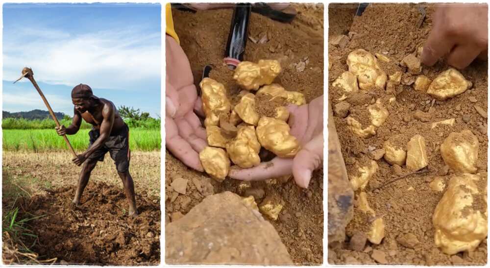 Man finds pebbles that look like gold.