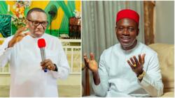 Election litigation: Anambra people will hate you more - Ex-governorship aspirant warns Andy Uba