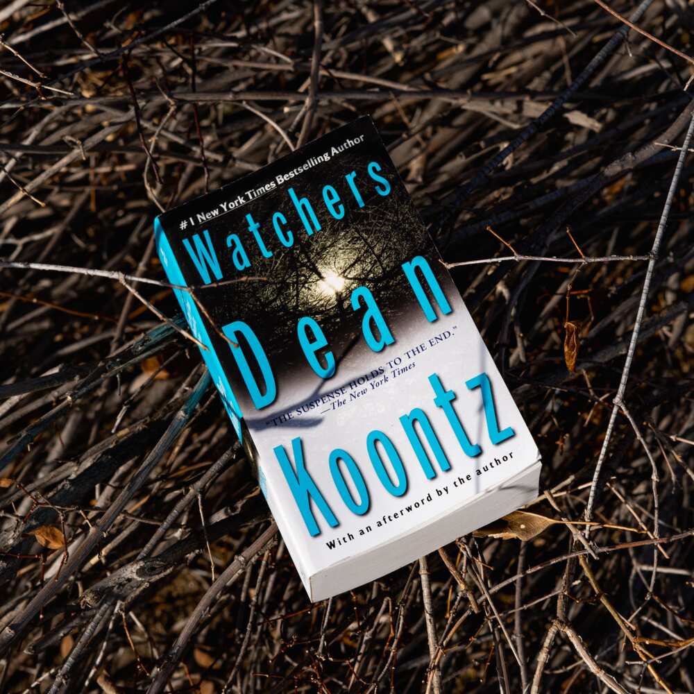 Dean Koontz books Dean Koontz books