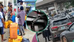 Fuel scarcity looms as marketers stall importation over forex shortage