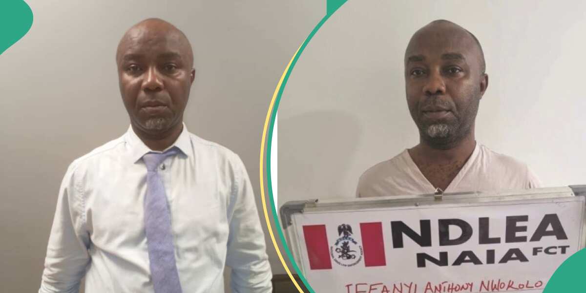 How NDLEA nabbed popular Lagos business tycoon with drugs, excretes 86 wraps in custody