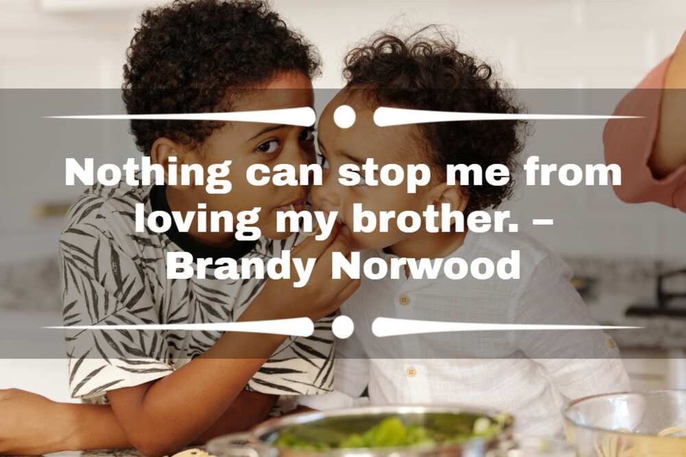 meaningful brother quotes meaningful brother quotes