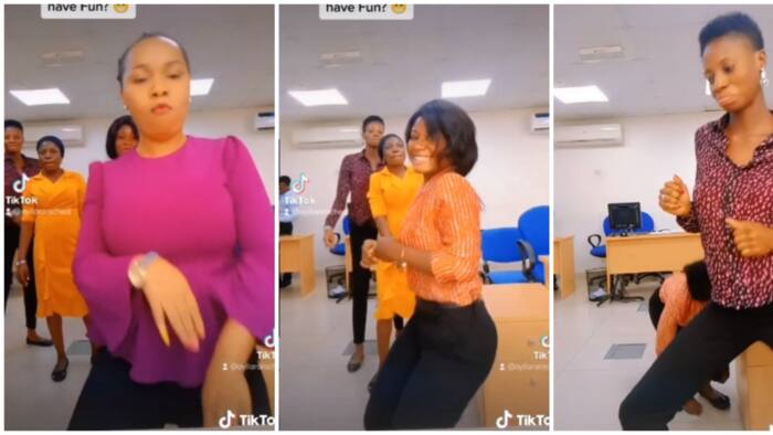 Beautiful Nigerian female bankers line up as they do the Buga dance challenge in the office, video wows many