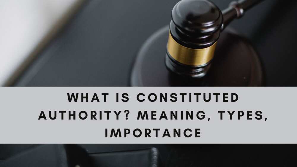 What are the four types of constituted authority?