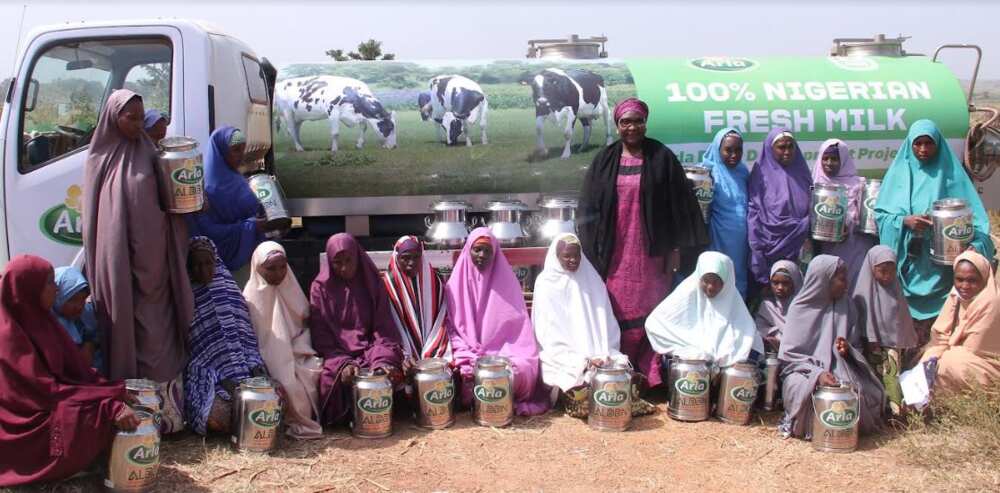 Local Dairy Farmers Excited, as Arla Foods Distributes Milk Cans to Improve Nigerian Milk Quality