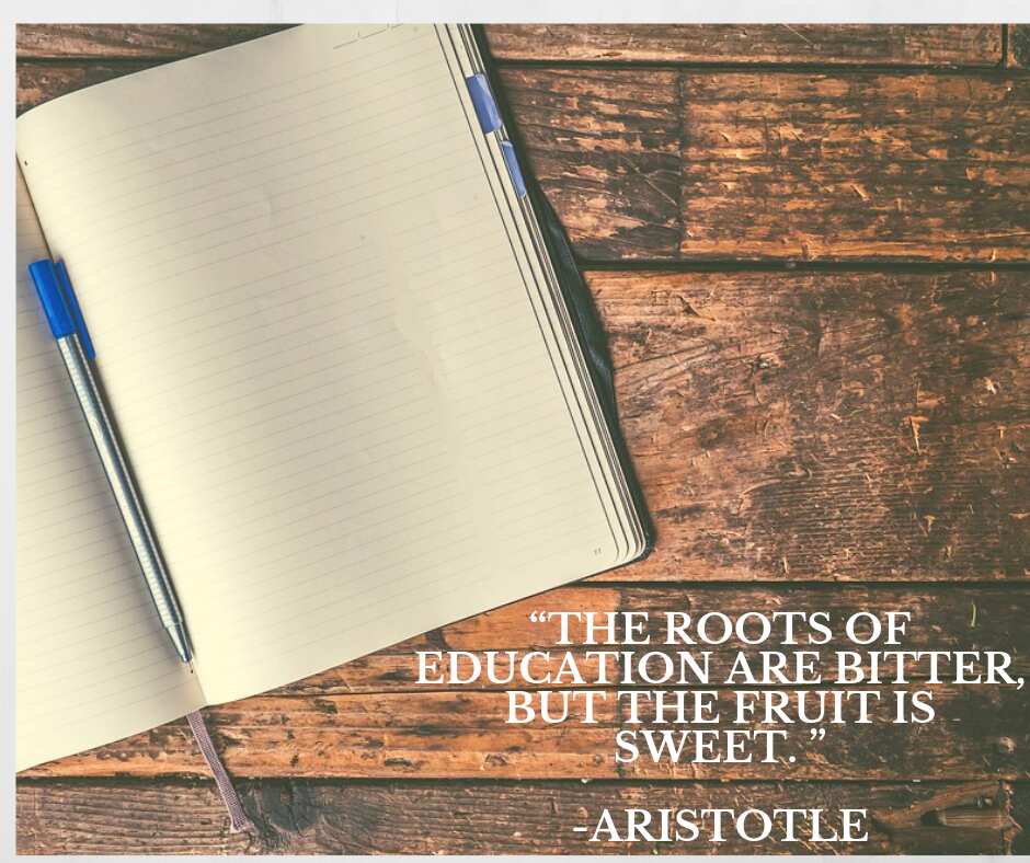 Aristotle education quotes