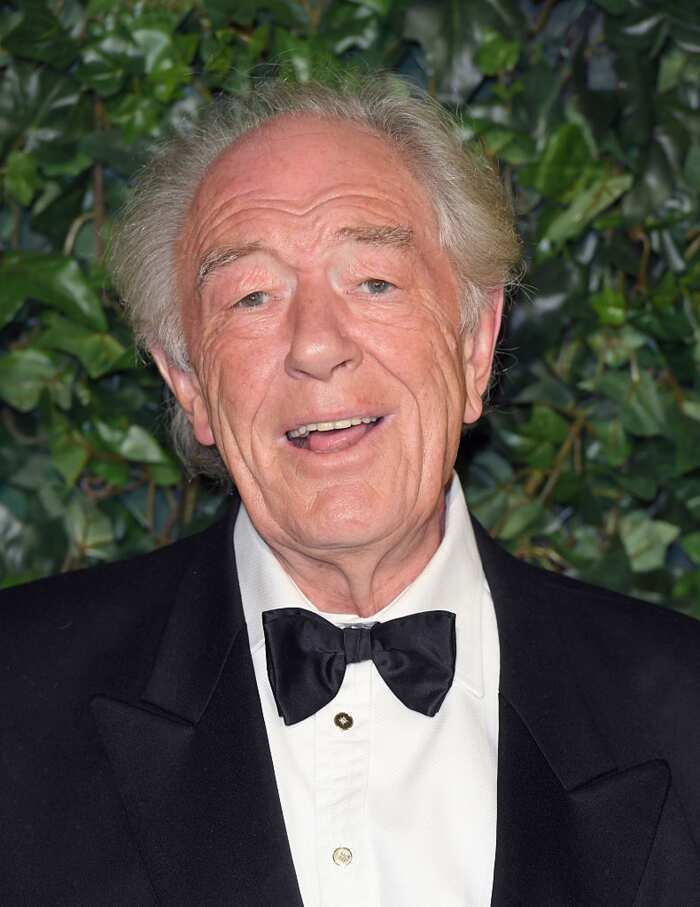 Michael Gambon bio: age, height, net worth, movies and TV shows Legit.ng