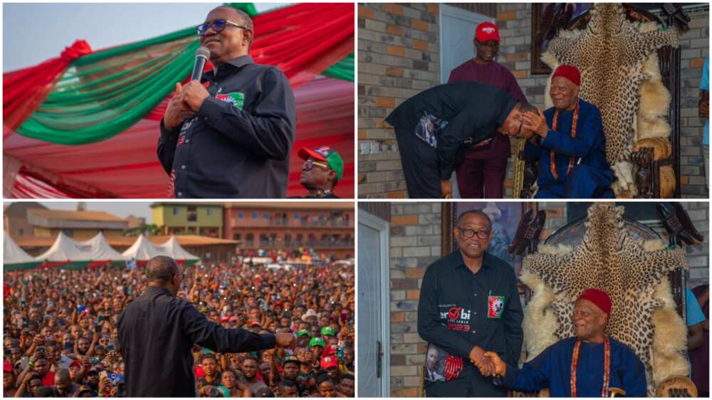 Peter Obi/Labour Party/2023 Election/Anambra/Southeast