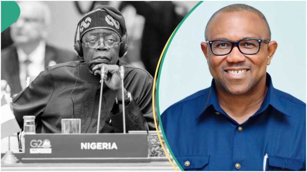 Peter Obi knocked/Tinubu's aide mocked Obi/Peter Obi makes case for internet fraudsters/Labour Party/Bayo Onanuga/Bola Ahmed Tinubu