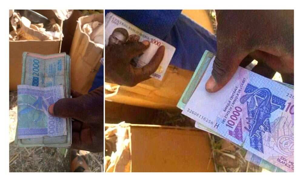 new-naira-notes-nigerians-turn-to-cfa-francs-at-borders-as-scarcity-of