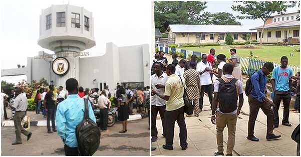 COVID-19: ASUU, vice-chancellors clash over reopening of universities