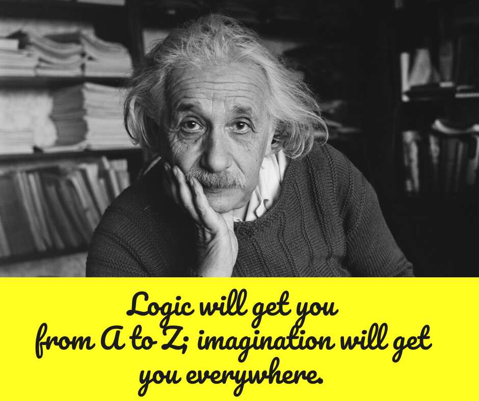 quote on imagination quote on imagination