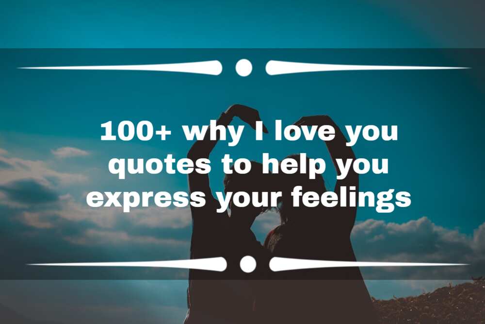 You know why I love you quotes