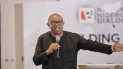 Peter Obi: Labour Party presidential candidate will restore Nigeria’s glory, says Diaspora group