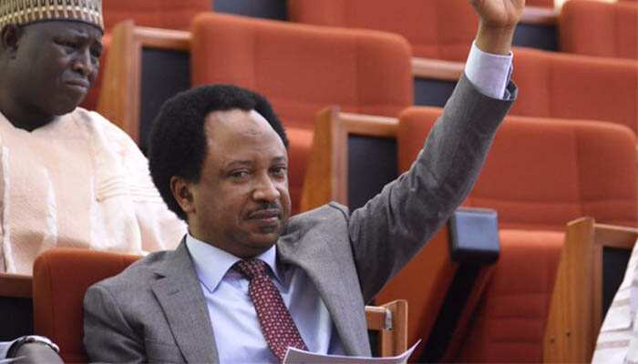 Do this to end farmer-herder crisis - Ex-senator Shehu Sani shares solution