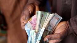 Naira Ta Gama Zabure Zabure a Kasuwa, Ta Koma Gidan Jiya da $1 ta Harba N1120