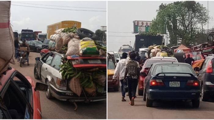 Commuters Stranded as Protesters Block Lagos-Benin Expressway Over Fuel Price Hike, Scarcity