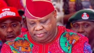 Adeleke: Trouble for Davido's uncle as tribunal rejects his WAEC certificate presented by INEC