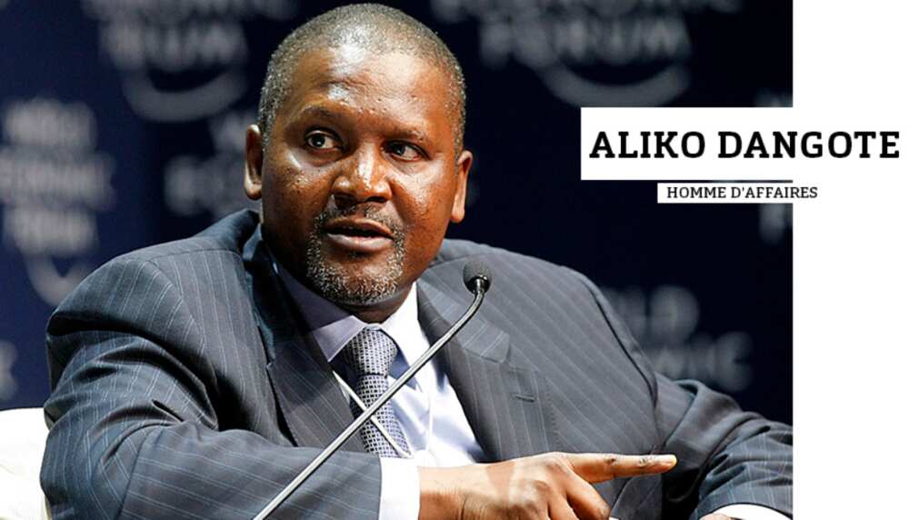 Aliko Dangote education history