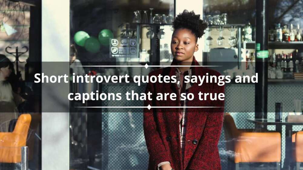 short introvert quotes