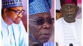 Beryl TV 96b28a7b47b0a9e7 Muhammadu Buhari vs Olusegun Obasanjo: Nigeria's Economic Performance Under Their Presidency economy 
