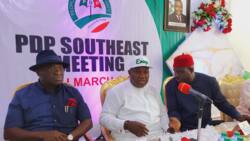 2023 presidency: South-East PDP, southern governors meet, reveal position on zoning