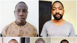 At last, names, photos of persons stealing Nigeria's crude oil revealed by Buhari's govt