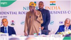 "I was a brilliant student": Tinubu opens up on academic record