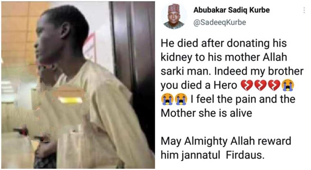 Nigerian kidney donor.