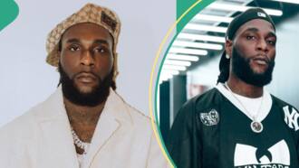 Burna Boy shares why he can't father a child yet, to consider options if rumours were true