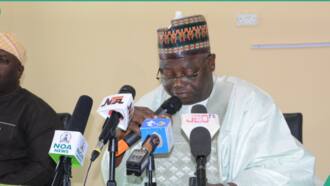Prominent Tinubu's appointee under fire over alleged insensitive remarks