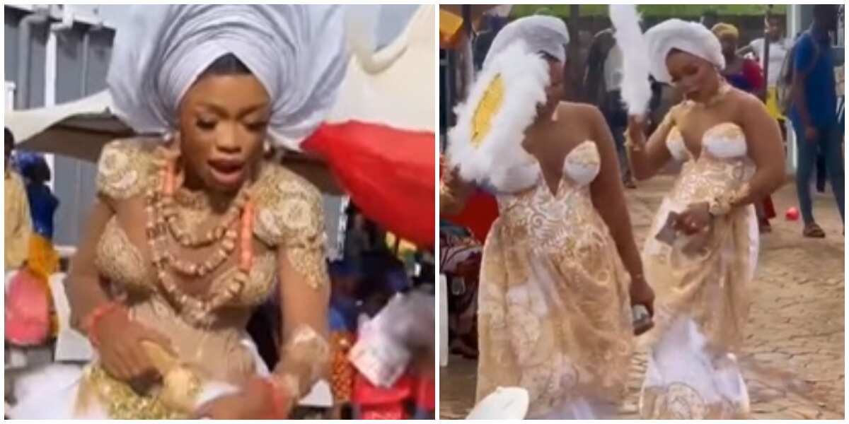 See how Igbo bride and sisters turned up for her traditional wedding in same look