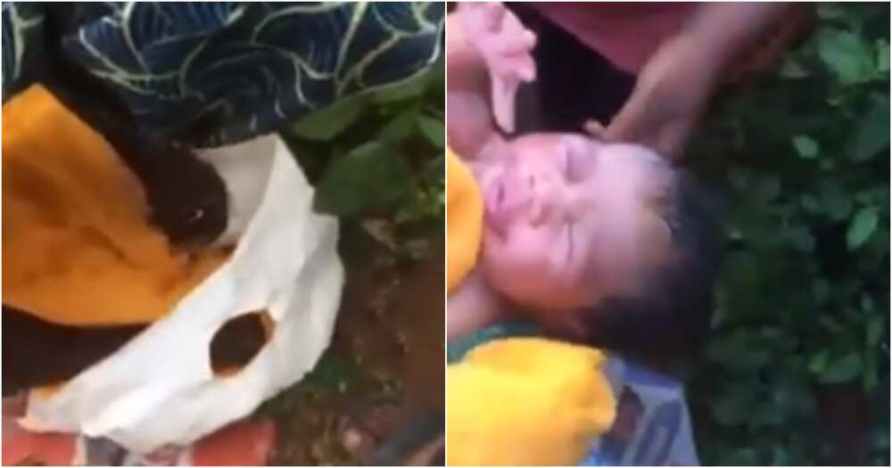 Newborn baby thrown away