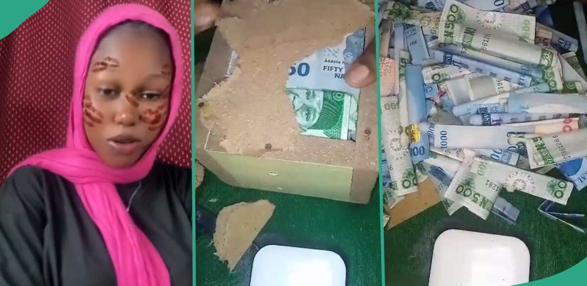 Video: See the money this lady brought out after breaking her piggy bank