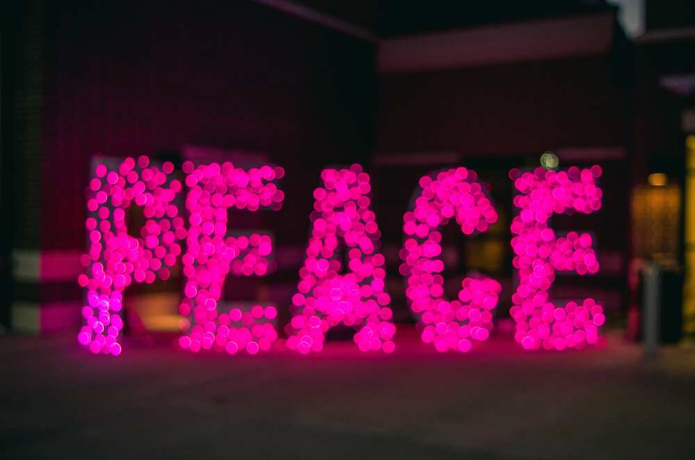 Function of ensuring peace in a state Function of ensuring peace in a state