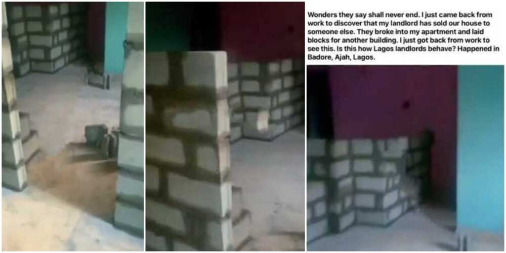 This isn't funny; Nigerian lady cries out as she returns from work to find laid blocks inside her apartment, social media reacts