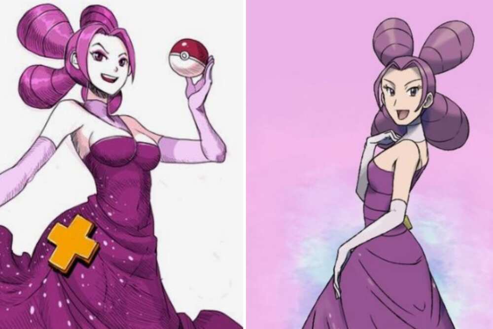 Pokémon female gym leaders Pokémon female gym leaders